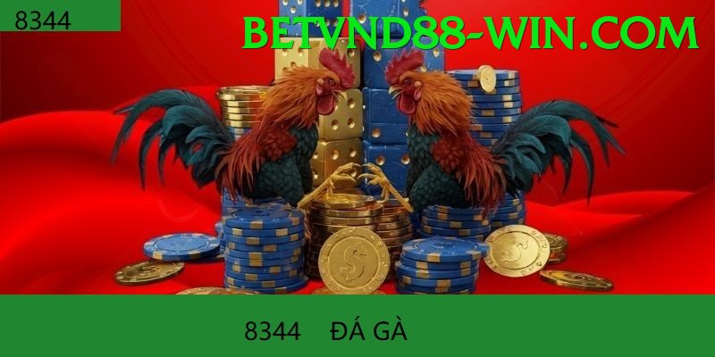 Đá Gà Trực Tiếp - Trải nghiệm tuyệt vời