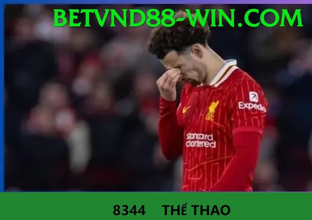 Cá Cược Thể Thao - betvnd88